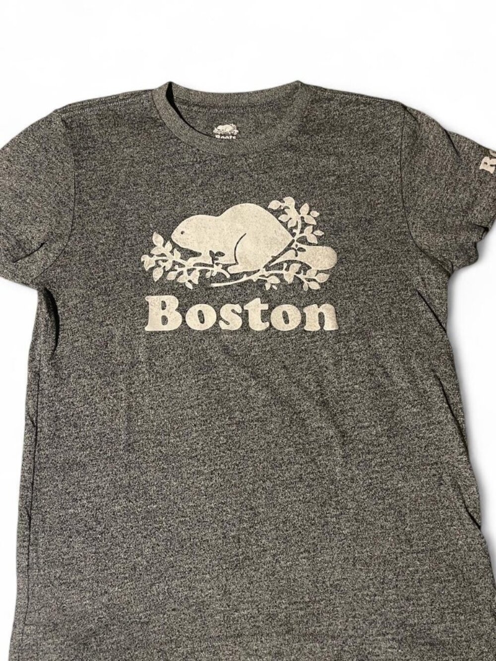 Roots Boston Beaver Graphic T-Shirt Grey Heather Men's Size M Short Sleeve